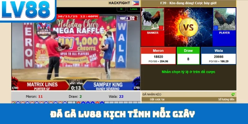 Đá gà LV88 kịch tính mỗi giây